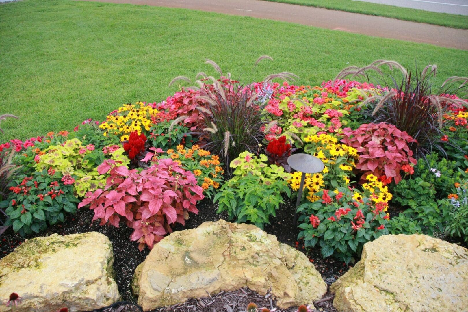 A garden with many different flowers and rocks