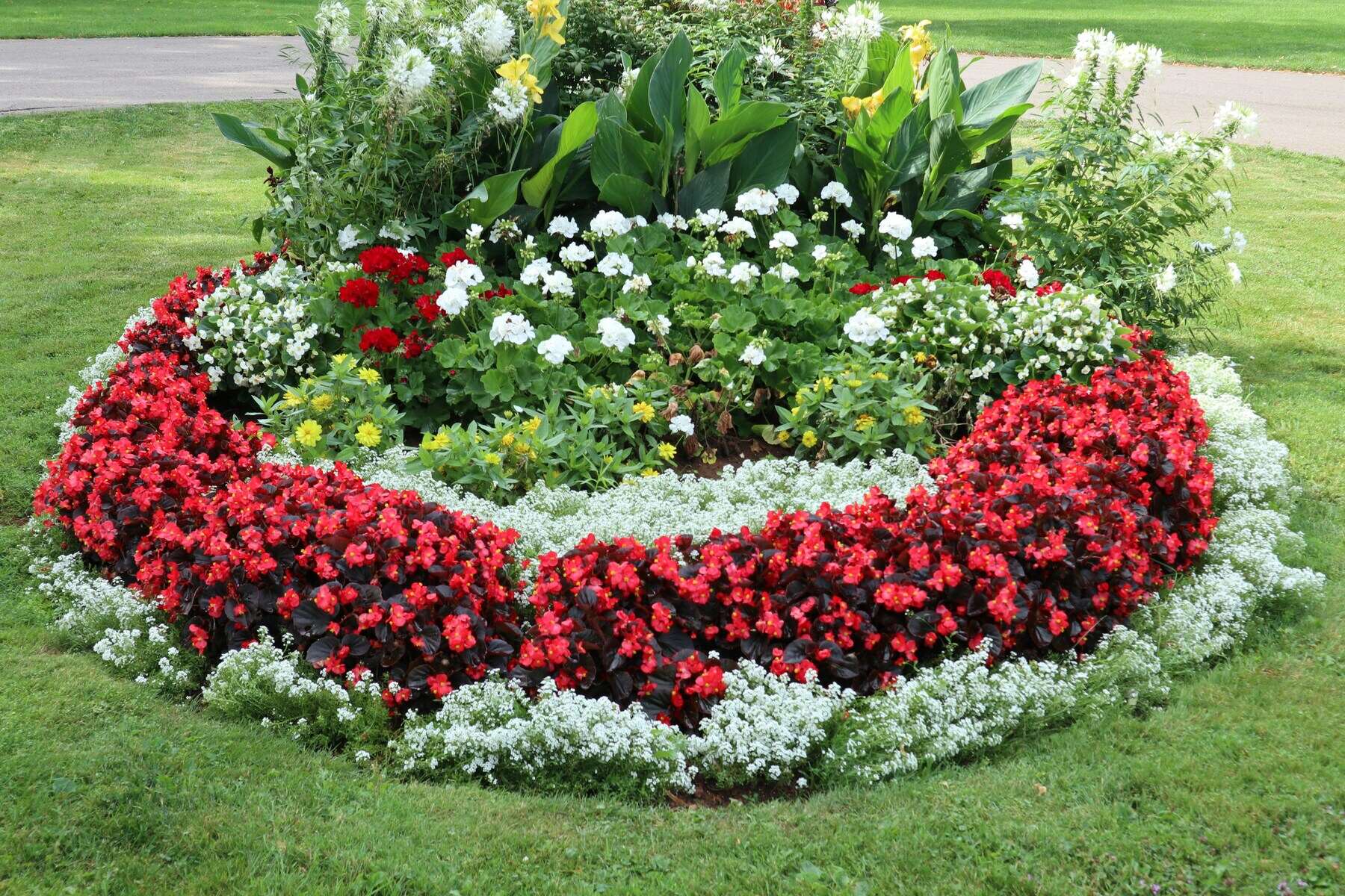 A flower bed with red and white flowers in it.